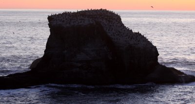 CAPE FLATTERY - SUNSET IN FEBRUARY 2010 43.JPG