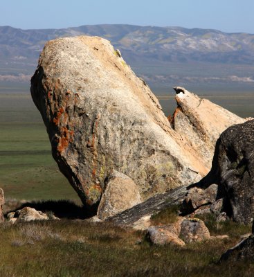 CARRIZO PLAIN NATIONAL MONUMENT - SELBY ROCKS - ROADTRIP 2010 (4).JPG