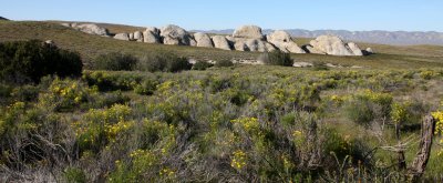 CARRIZO PLAIN NATIONAL MONUMENT - SELBY ROCKS - ROADTRIP 2010 (9).JPG