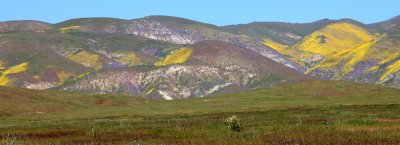 CARRIZO PLAIN NATIONAL MONUMENT - VIEWS OF THE REGION - ROADTRIP 2010 (104).JPG