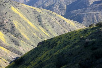 CARRIZO PLAIN NATIONAL MONUMENT - VIEWS OF THE REGION - ROADTRIP 2010 (26).JPG