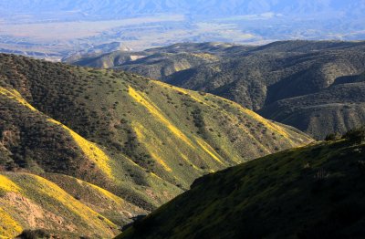 CARRIZO PLAIN NATIONAL MONUMENT - VIEWS OF THE REGION - ROADTRIP 2010 (28).JPG