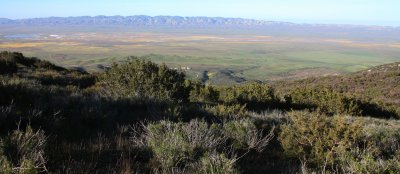 CARRIZO PLAIN NATIONAL MONUMENT - VIEWS OF THE REGION - ROADTRIP 2010 (31).JPG