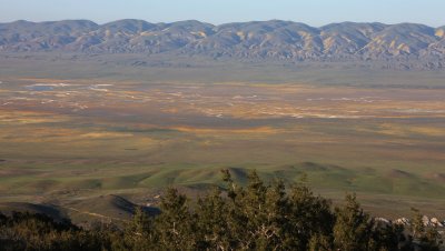 CARRIZO PLAIN NATIONAL MONUMENT - VIEWS OF THE REGION - ROADTRIP 2010 (34).JPG