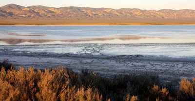 CARRIZO PLAIN NATIONAL MONUMENT - VIEWS OF THE REGION - ROADTRIP 2010 (52).JPG