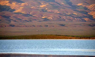 CARRIZO PLAIN NATIONAL MONUMENT - VIEWS OF THE REGION - ROADTRIP 2010 (70).JPG