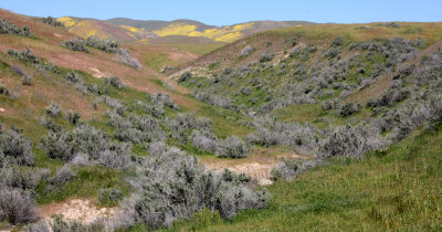 CARRIZO PLAIN NATIONAL MONUMENT CALIFORNIA - WALLACE CREEK SAN ANDREAS FAULT OVERLOOK (4).JPG