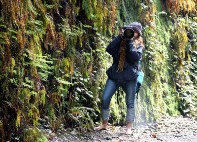 2010-3-30 PRAIRIE CREEK STATE PARK HIKE IN TO FERN CANYON CALIFORNIA SPRING TRIP (8).JPG