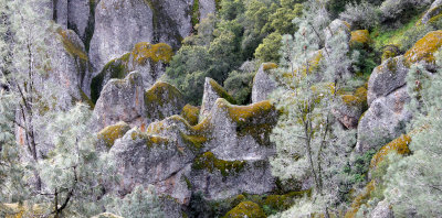 PINNACLES NATIONAL MONUMENT CALIFORNIA - VIEWS OF THE REGION (24).JPG