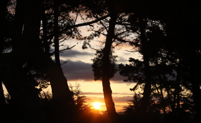 SUNSET BEACH STATE BEACH CALIFORNIA - SUNRISE AT BEACHCAMP -  SPRING ROADTRIP 2010.JPG