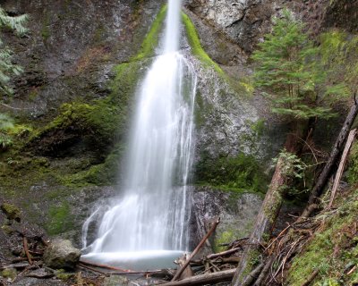 MARYMERE FALLS - OLYMPIC NATIONAL PARK - MARCH 20 2010 (2).JPG