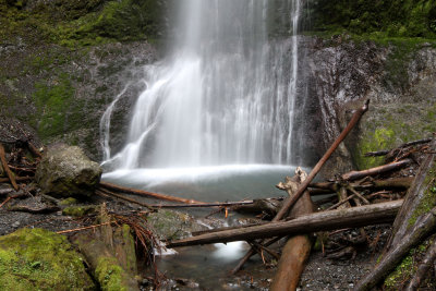 MARYMERE FALLS - OLYMPIC NATIONAL PARK - MARCH 20 2010 (7).JPG