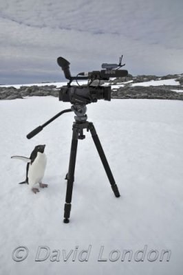 MawsonsHuts snowfall04.JPG