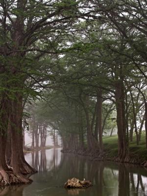 Guadalupe River, Waring