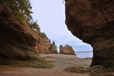 Hopewell Rocks_.jpg