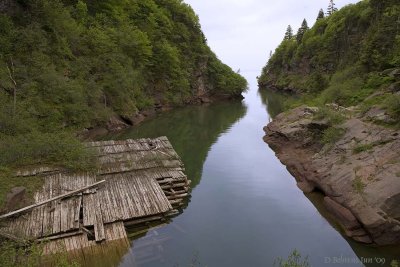 Pt Wolfe River - sawmill remains.jpg