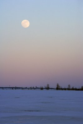 Winter Scenes