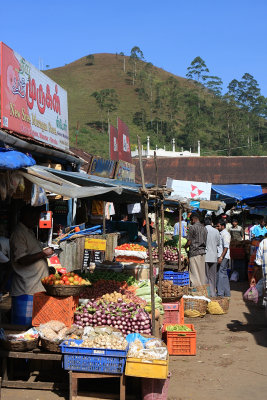 Munnar market