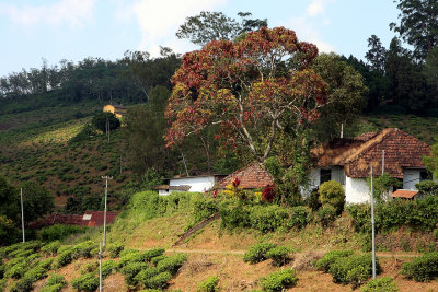 En route to Vagamon