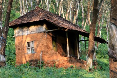 House in the rubber plantation