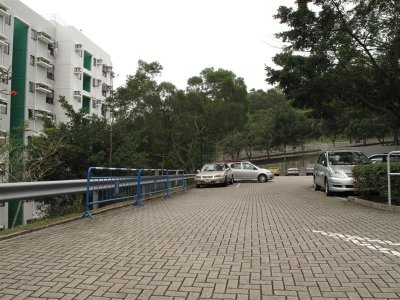 IMG_4791 Medium.JPG
