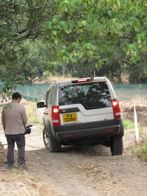 Check the rear wheels