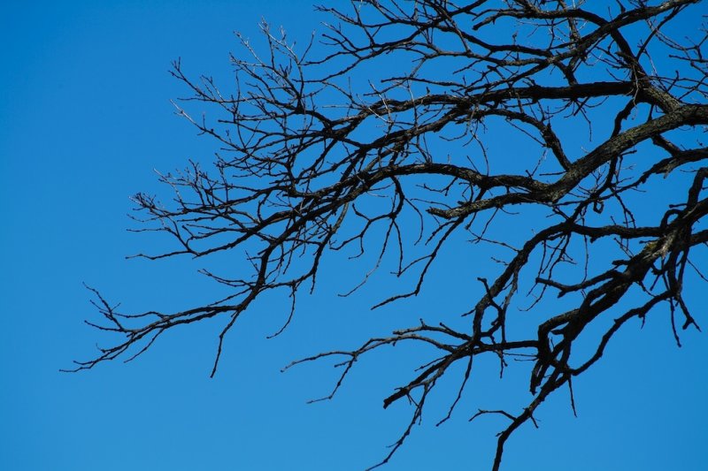 Blue sky