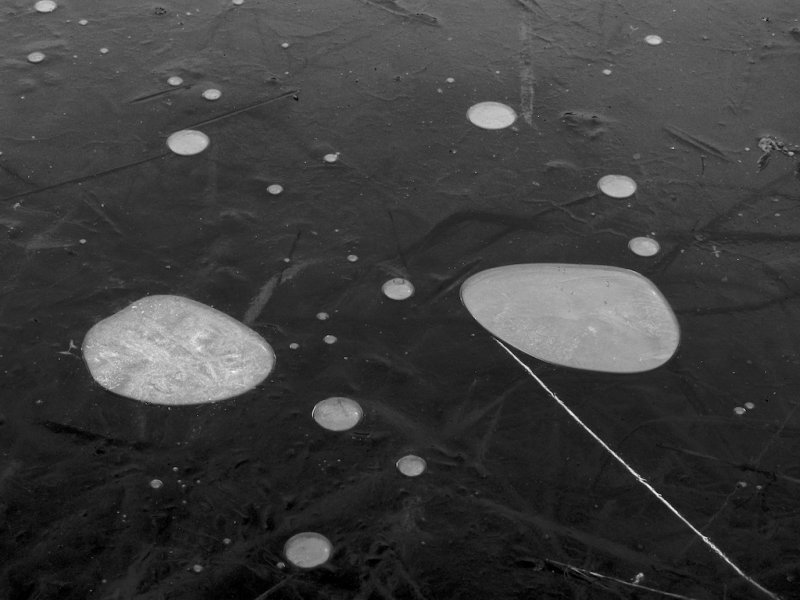 Bubbles