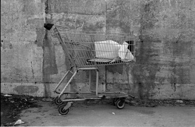 Cart