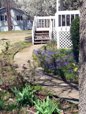 front walkway.jpg