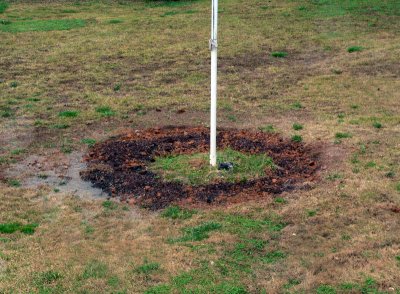 flagpole flowerbed.jpg