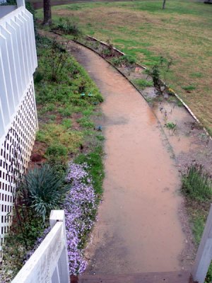 puddled sidewalk 3.jpg
