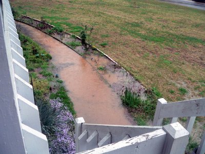 puddled sidewalk 4.jpg