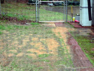 puddles in back yard.jpg