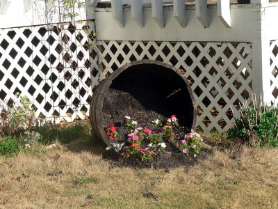 whisky barrel planter 2.jpg