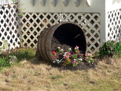 whisky barrel planter.jpg