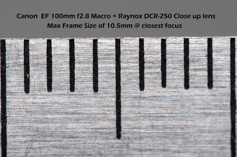 DCR-250 on 100mm f2.8 Macro