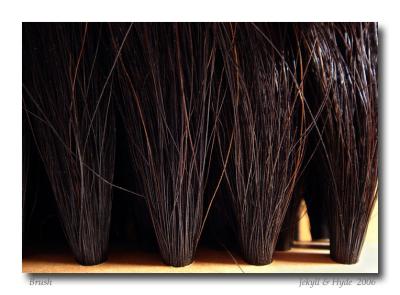 Brush