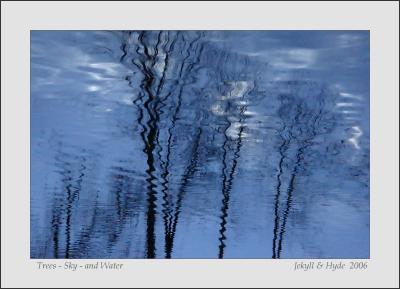 Trees - Sky - and Water
