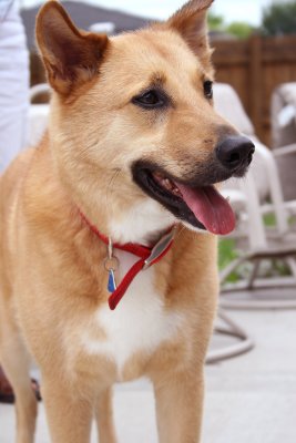 Buster_01