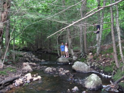 Down by the creek