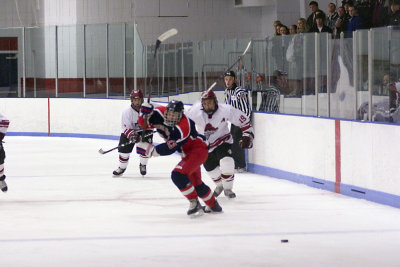 DWC vs Springfield 2010009.jpg