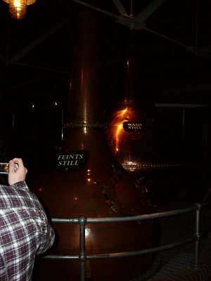 Ireland 2010050.jpg