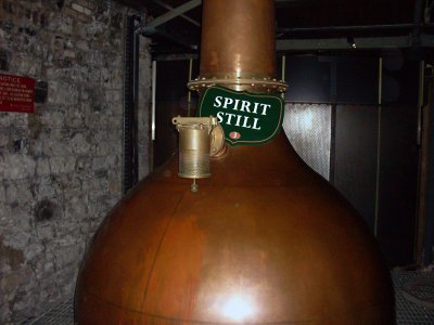 Ireland 2010052.jpg