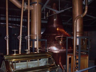 Ireland 2010053.jpg