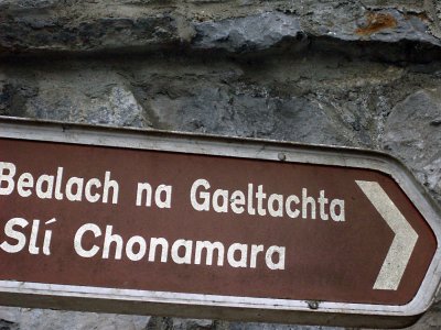 Ireland 2010087.jpg