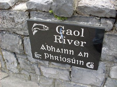 Ireland 2010119.jpg