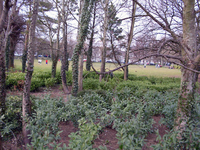 Ireland 2010121.jpg