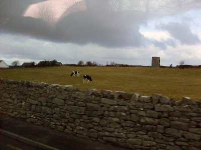 Ireland 2010155.jpg