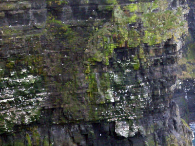 Ireland 2010199.jpg